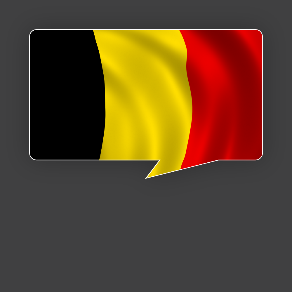 Technisch Nederlands voor anderstaligen